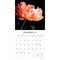 In the Garden | 2026 12 x 24 Inch (Hanging) Monthly Square Wall Calendar | Plastic-Free